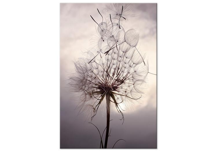 Canvas Print Inflorescence of a Dandelier - photo in the style of boho