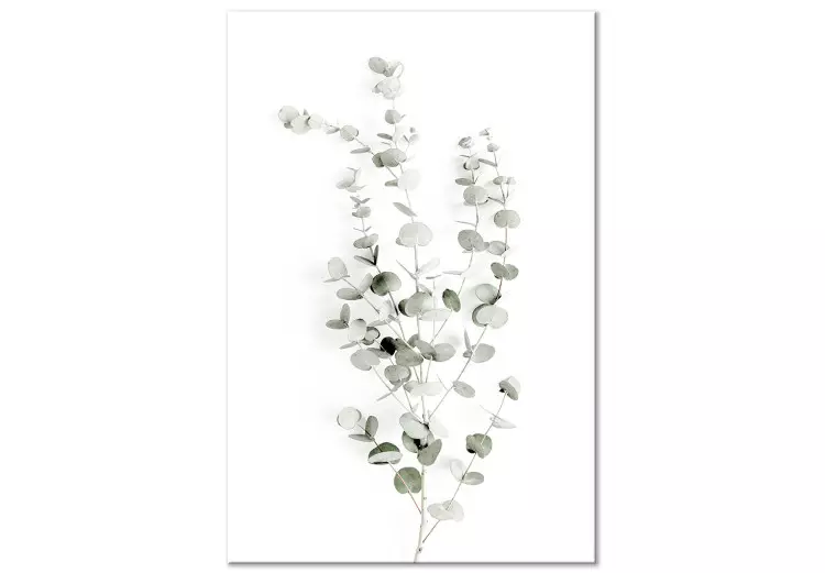 Canvas Print Eucalyptus Caesia (1-piece) Vertical - landscape of plants in boho style