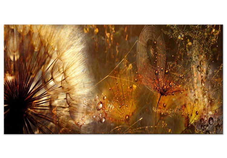 Large canvas print Amber Morning II [Large Format]