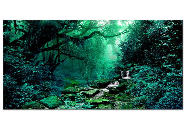 Large canvas print The Fairytale Forest II [Large Format]