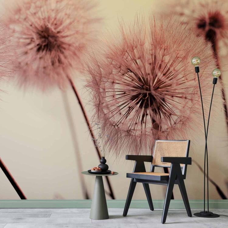 Wall Mural Dandelion time - a delicate theme with flowers in sepia