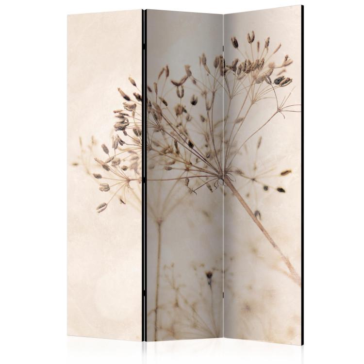 Room Divider Serenity and Contemplation (3-piece) - Delicate plants on a beige background