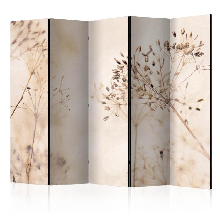 Serenity and Contemplation II (5-piece) - Delicate plants on a beige background