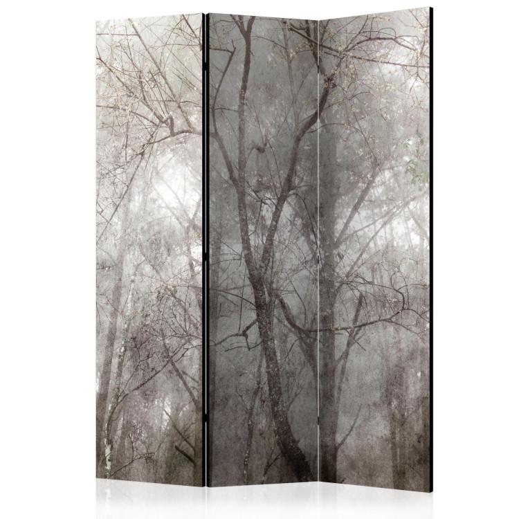 Room Divider Forest Summit (3-piece) - Landscape overlooking gray trees