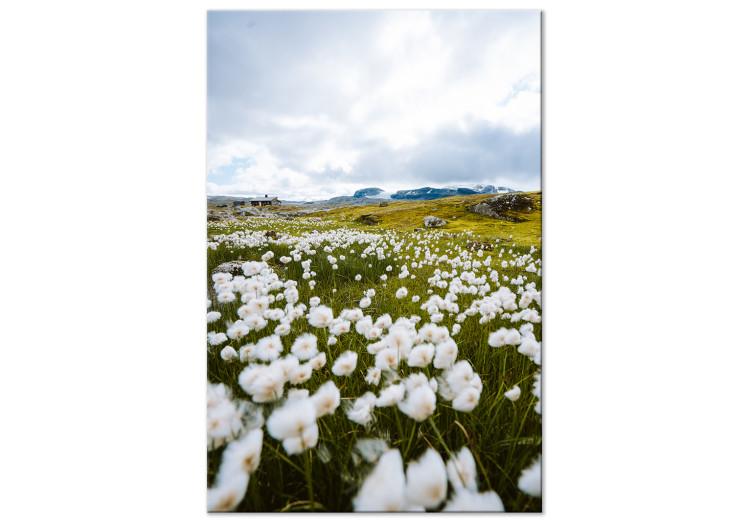 Canvas Print Meadow in the North (1-piece) Vertical - spring landscape with flowers
