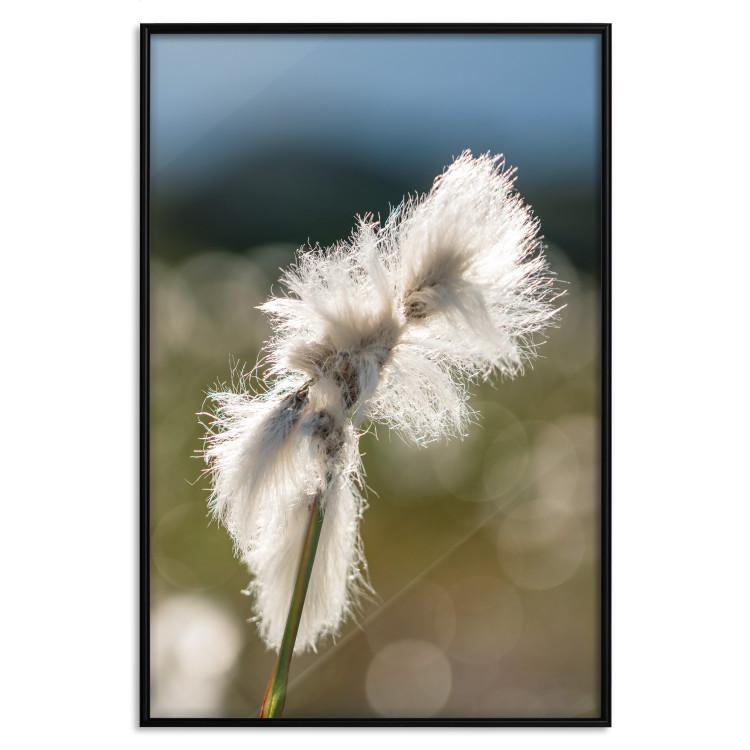 Poster Subtlety of Nature - majestic composition of a plant against a blurred background