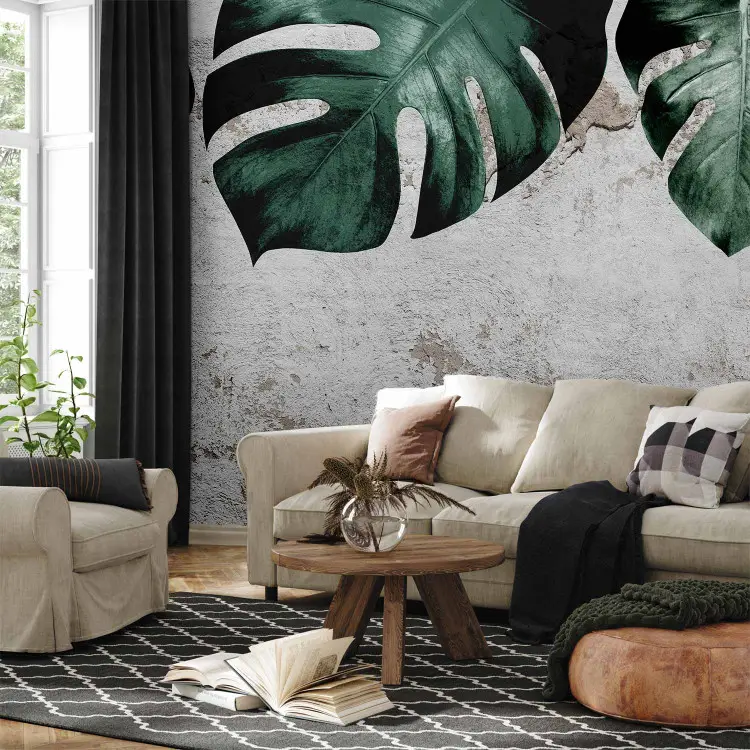 Face of monstera- composition with green leaves and concrete wall