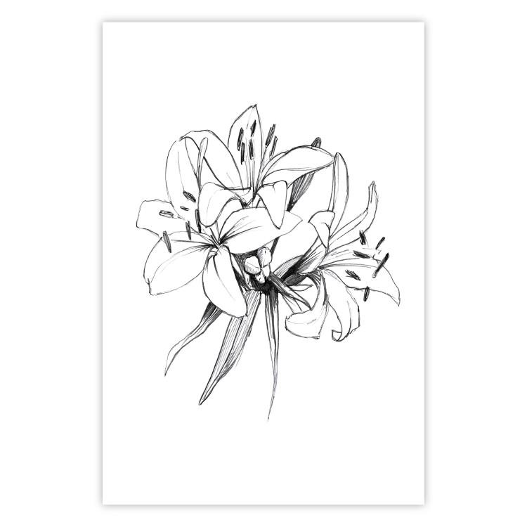 Poster Drawn Flowers - black sketch of flowers on a contrasting white background