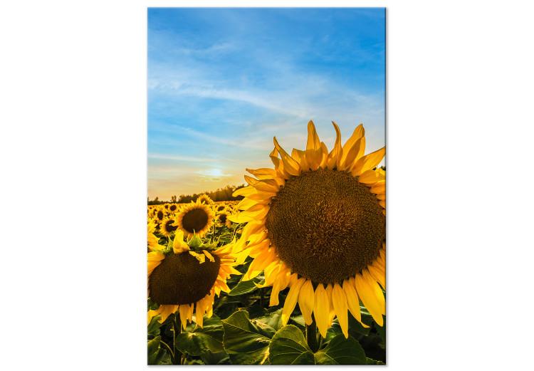 Canvas Print Flowers of Peace (1-piece) Vertical - sunflowers in a vast field