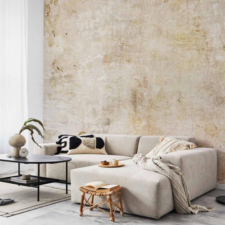 Wall Mural Scandi boho with texture - solid background with pattern in beige colour