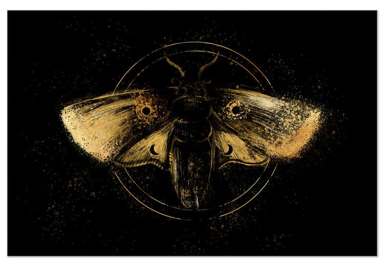 Canvas Print Night Moth (1-piece) Wide - first variant - animal in black