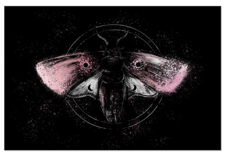 Canvas Print Night Moth (1-piece) Wide - second variant - pink wings