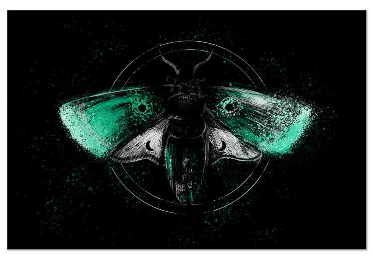 Canvas Print Night Moth (1-piece) Wide - third variant - green wings