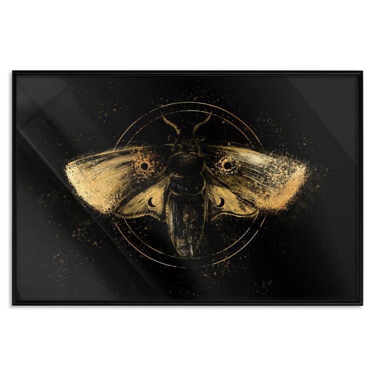 Poster Night Moth [Poster]