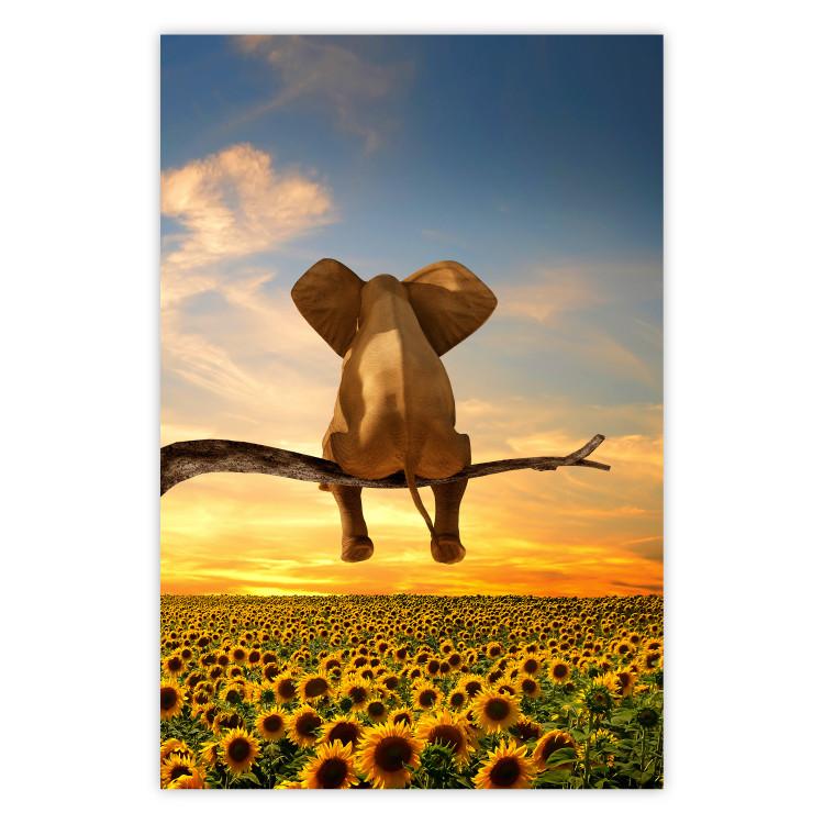 Poster Elephant and Sunflowers [Poster]