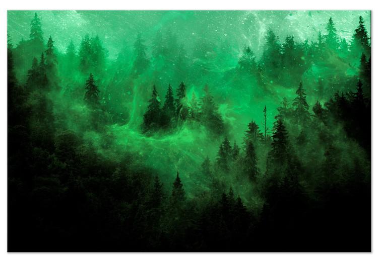 Canvas Print Magical Mist (1-piece) - third variant - green forest landscape