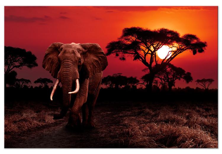 Canvas Print African Trek (1-piece) Wide - second variant - walking elephant