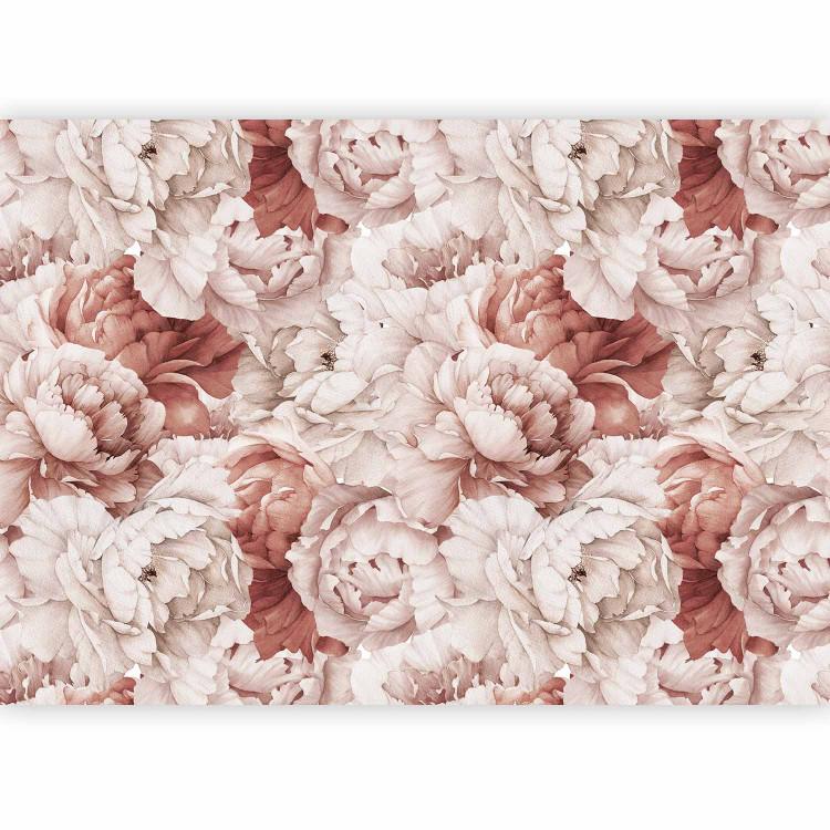 Peonies - nature motif with a bright composition of flowers in shades of pink
