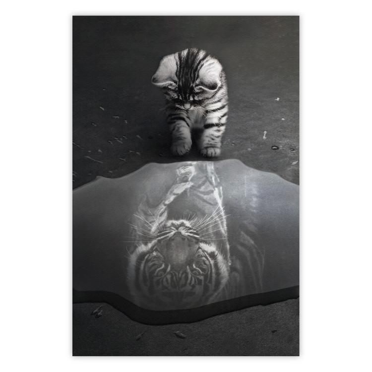 Poster Predatory Animal - Photo of a Cat With a Reflection of a Tiger in a Puddle