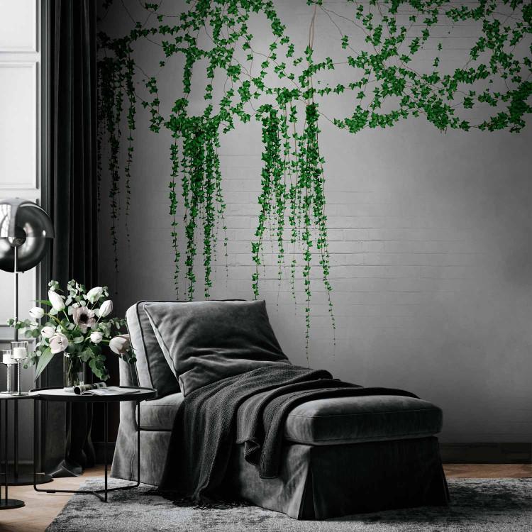 Wall Mural Ivy - landscape with plants on a textured white brick wall background