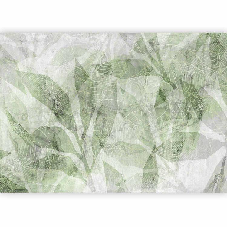 Abstract shadow - interlaced shapes and outline of leaves - green