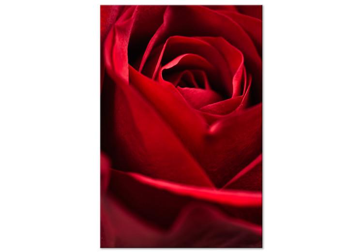 Canvas Print Red Flower (1-piece) - close-up of delicate rose petals