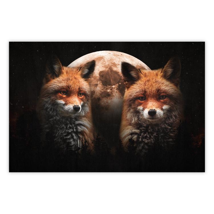 Poster Forest Couple - Two Foxes and the Moon Against the Night, Starry Sky
