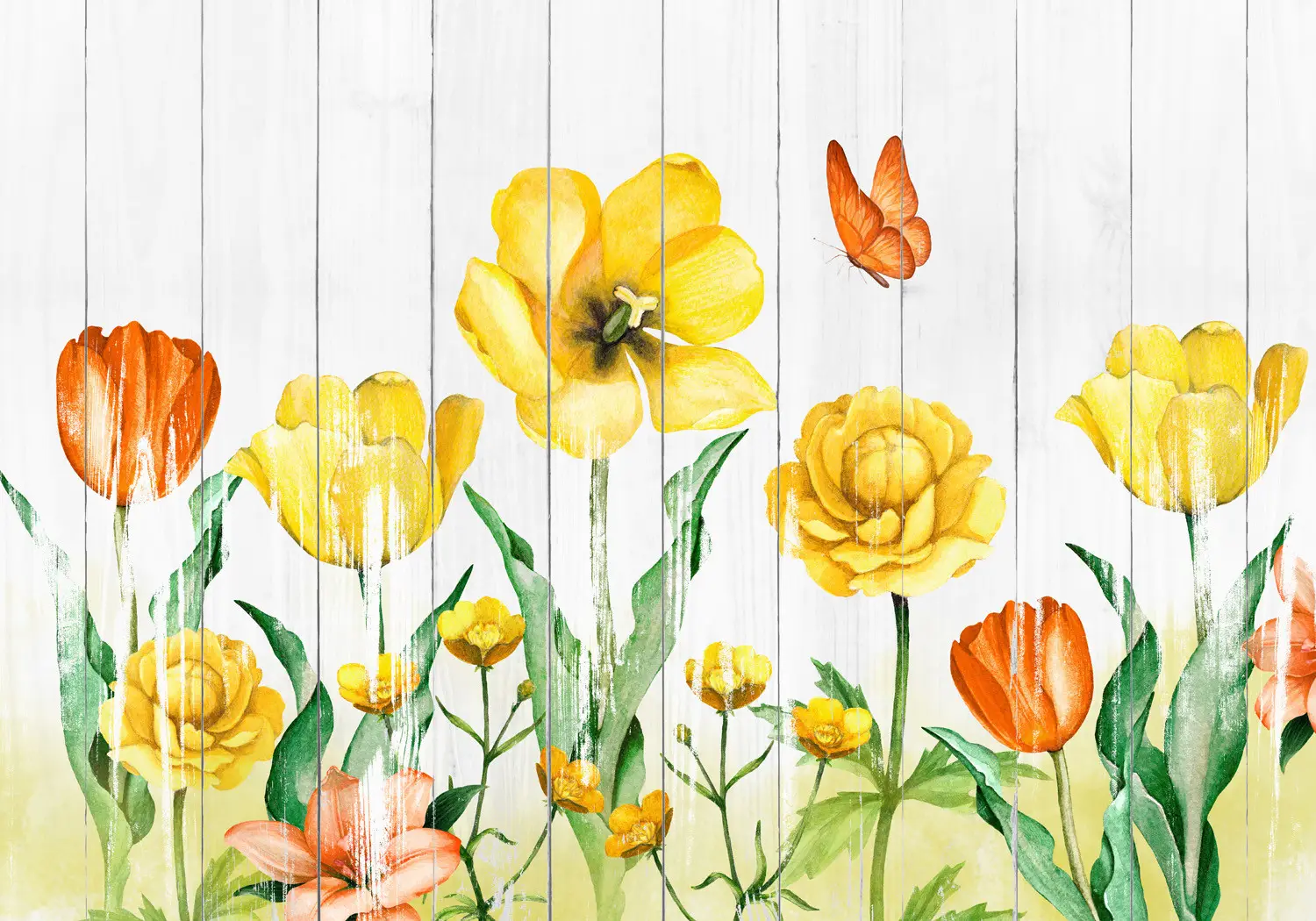 Photo Wallpaper Tulips in a meadow - yellow flowers on a