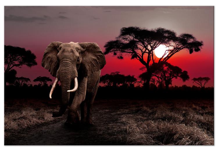 Canvas Print African Journey (1-piece) wide - third variant - elephant