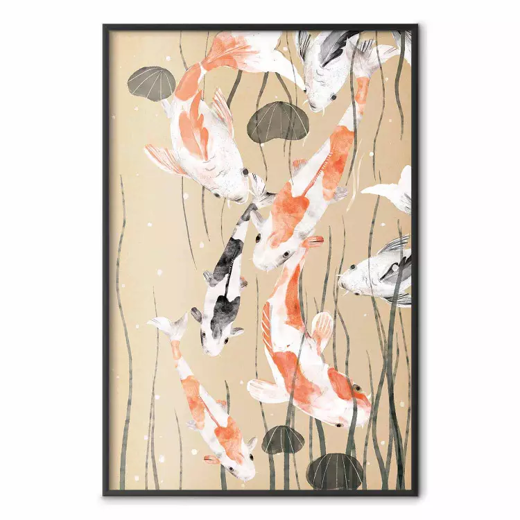 Koi Carps - Floating Painted Japanese Carp Among the Seaweed