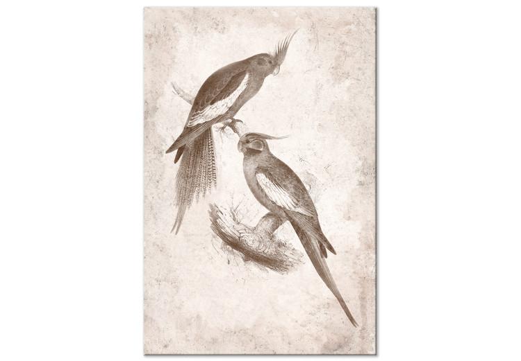 Canvas Print Boho Birds (1-piece) - two nymph parrots on a light background