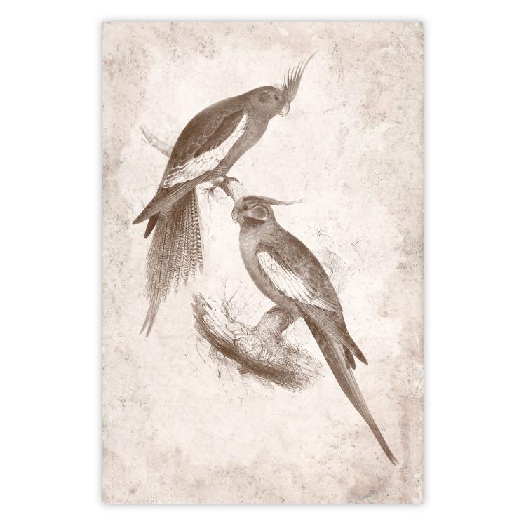 Poster Parrots in the Style of Boho - Two Birds on the Branches and a Light Background