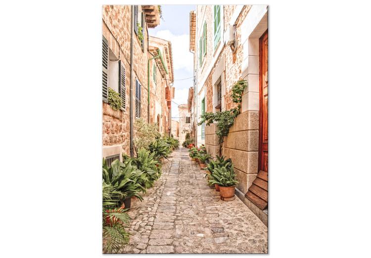 Canvas Print Quiet Alley (1-piece) - view of a Spanish town and plants