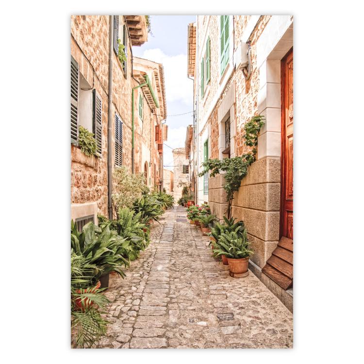 Poster Quiet Street - View of Historic Buildings and Vegetation