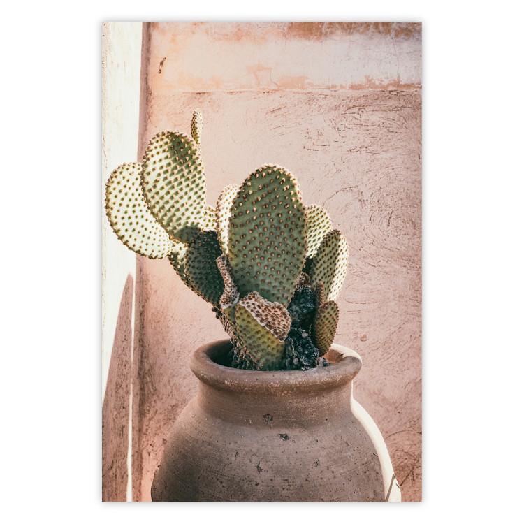 Poster Cactus in a Pot - Coniferous Plant in a Clay Pot