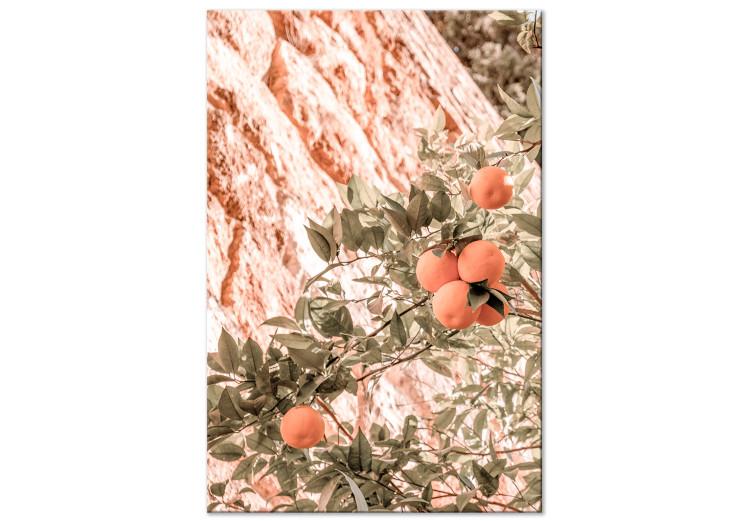 Canvas Print Young Clementines (1-piece) - fruits among branches of a green tree