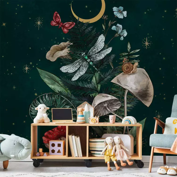 Nature of the Forest - Moon, Mushrooms, Plants and Animals Against the Background of Stars