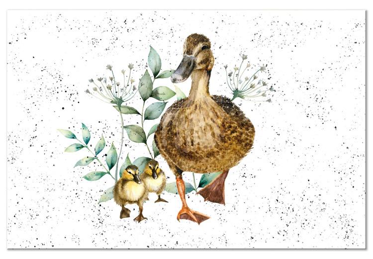 Canvas Print Family of Ducks - Cute Painted Animals and Plants Background in Splashes