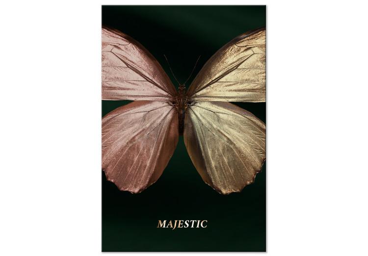 Canvas Print Butterfly - Insect With Unusual Wings on a Dark Green Background