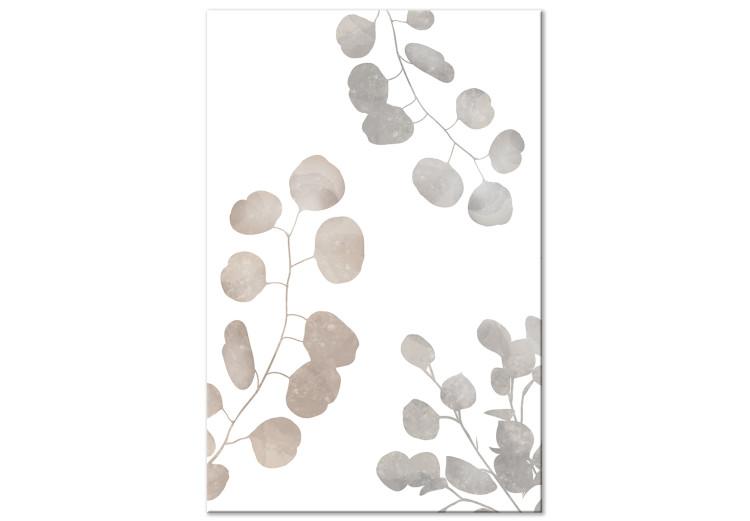 Canvas Print Eucalyptus Composition - Leaves and Twigs of Plants on a White Background