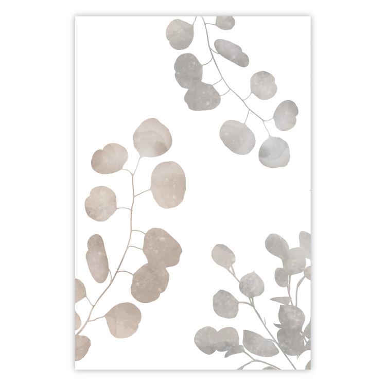 Poster Eucalyptus Plant Composition - Leaves and Twigs on a White Background