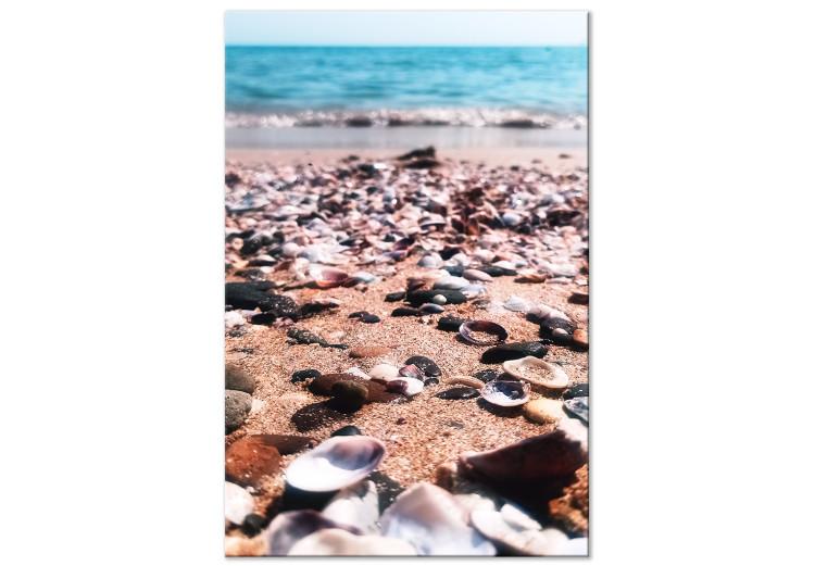 Canvas Print Summer Beach - Seashells Landscape on the Shore of the Blue Sea
