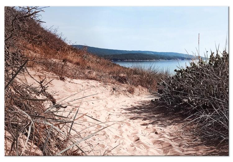 Canvas Print Descent to the Beach - Landscape of the Sea, Vegetation and a Sandy Road