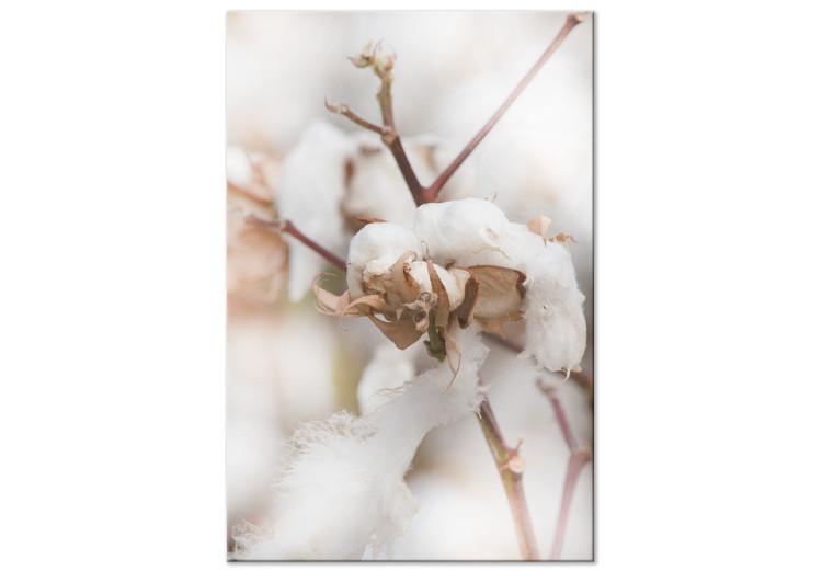 Canvas Print Cotton Twigs - Natural Photo of a Plant in the Style of a Boho