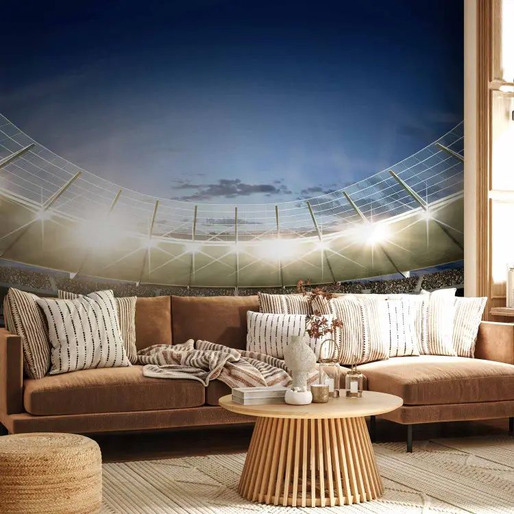 Football Stadium - Turf and Stands Before the Final Match