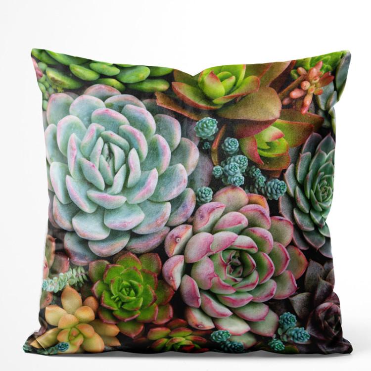 A world of the succulents - a floral composition with rich detailing