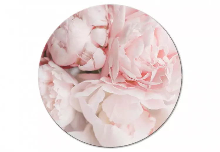 Light Pink Peonies - Bouquet of Flowers in Pastel Colors