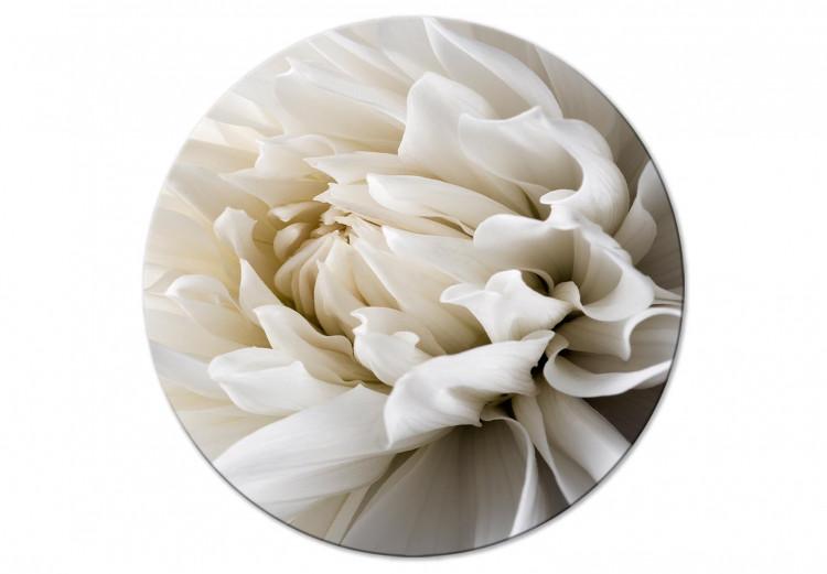 White Flower - Unfolded Bud in Warm Cream Light