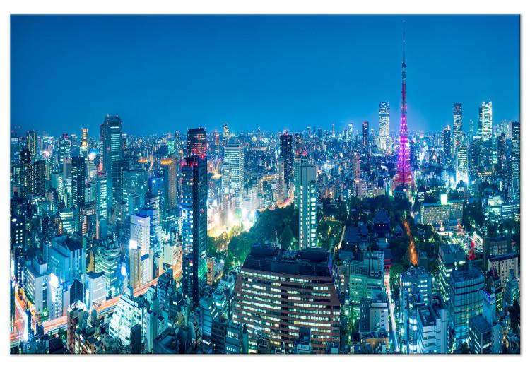 Large canvas print Tokyo: City of Tower Blocks [Large Format]