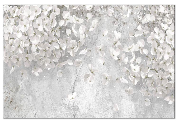 Canvas Print White Flowers - Spring White Plants on a Gray Stone Background